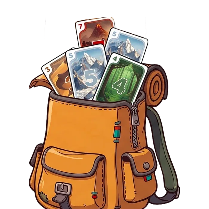 Un sac Bagazip rempli de cartes